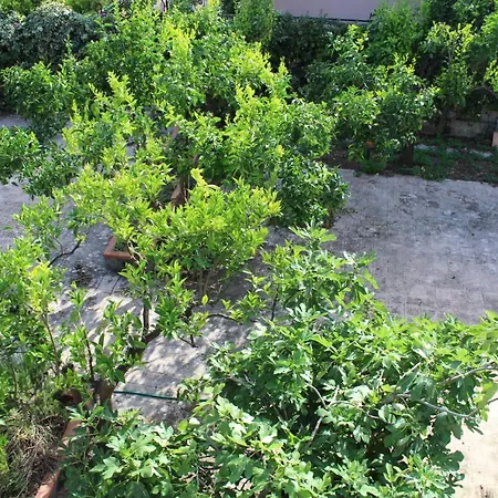 Apartamento Greenhouse *