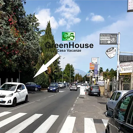 Greenhouse * מאסקלוצ'יה