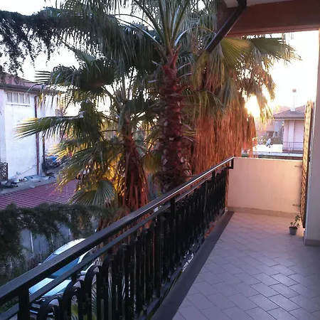 Greenhouse Mascalucia