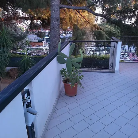 Greenhouse Mascalucia