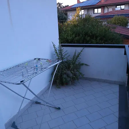 Greenhouse *