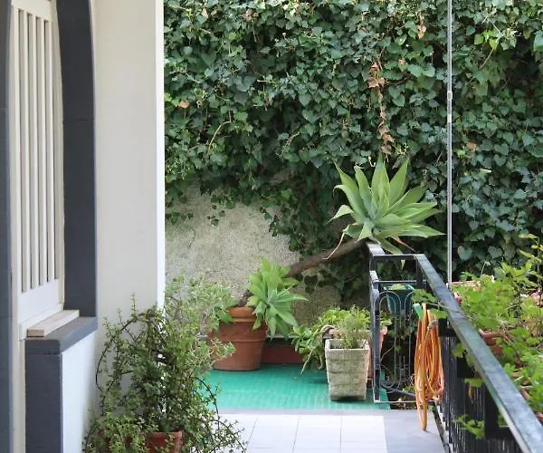 Greenhouse