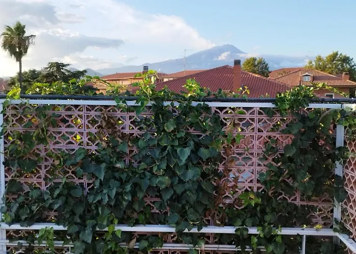 Greenhouse *