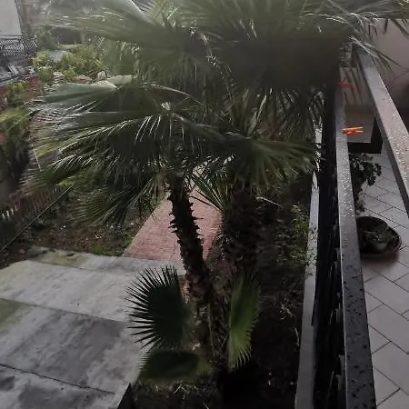Greenhouse 马斯卡卢恰