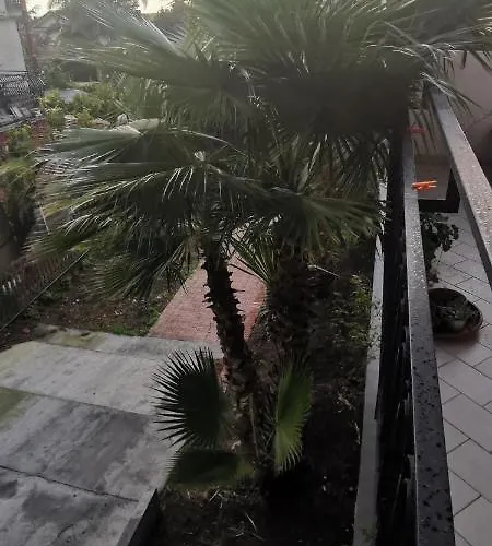 Greenhouse ماسكالوتشا